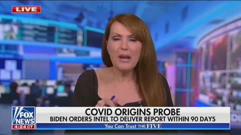 Dagen McDowell blasts media on lab-leak theory