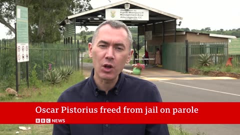 Oscar Pistorius released on parole 11 years after killing Reeva Steenkamp | BBC News