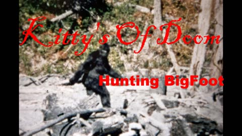 Kitty's Of Doom- Hunting Bigfoot