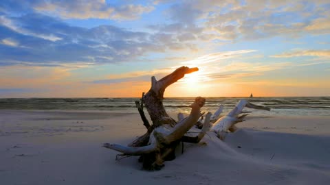 Natural Beauty of the Beaches