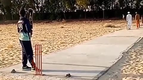 Playing cricket