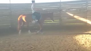 Girl makes older brother ride her horse