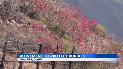 Activists seek stewardship of Wailupe property to protect ancient burials