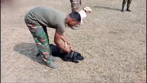 Indian army men giving training to dog
