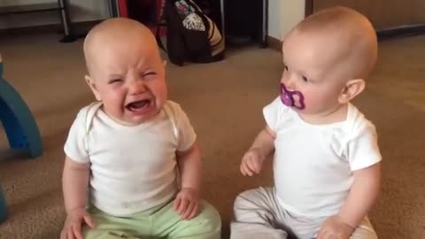 twin baby girls fight over pacifier