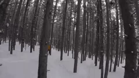 Tree Skiing - Big Sky Montana