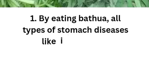 Health Benefits Of Bathua