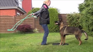 Cool dog trick- rope jumping