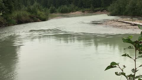 Jet Boat Drenches Bystanders at Carlan Cup Race