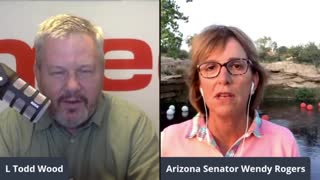 IO Interviews Sen. Wendy Rogers On What’s Going On With The Audit?