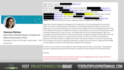 Pfizer Whistleblower LEAKS Execs Emails EXPOSING Suppression of Covid Vax Info From Public