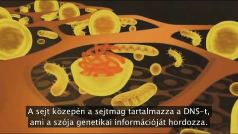 Bill és Ted zseniálisan álcázott kalandja (9.rész) - Mire jó a GMO?