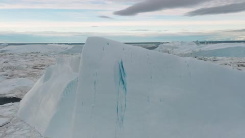 bird flying on Giant iceberg