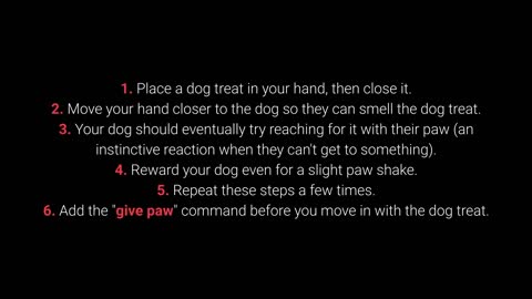 how to train your dog TOP 10 Essential Commands Every Dog Should Know!