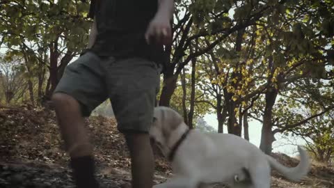 A man walking with his dog in a forest