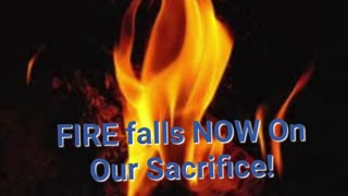 FIRE falls NOW On Our Sacrifice!