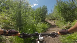 Greenhorn To Imperial Trail Loop - Gimlet, Idaho