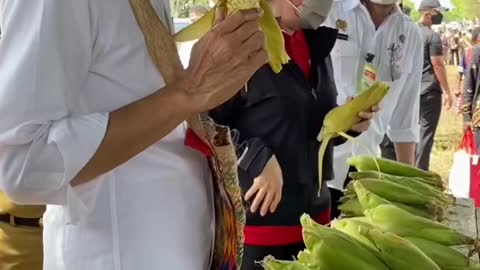 Mr. President of Indonesia, Joko Widodo, eats boiled corn