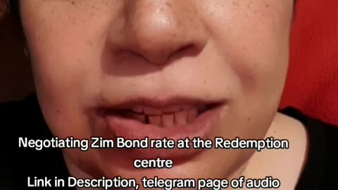 Negotiating Zim Bond Rates at the Redemption Centres