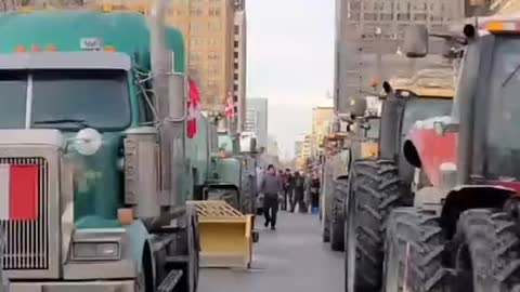 NOW - Trucks and farm tractors begin to arrive in Toronto
