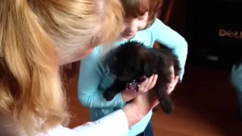 Little girl receives birthday puppy surprise