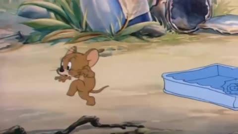 Tom and Jerry- Funny Compilation _ Funny Video
