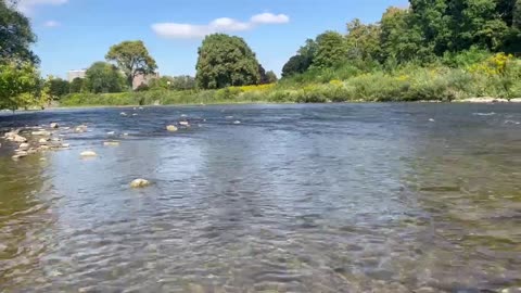 Dipped my toes into Humber River today