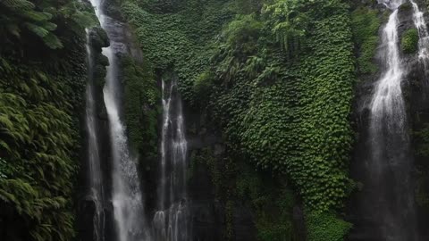 Amazing nature scenary with relaxing music