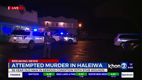 Police looking for suspect following late-night stabbing in Haleiwa