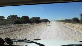 Sand Roads in Botswana ,with dramatic colors all the way