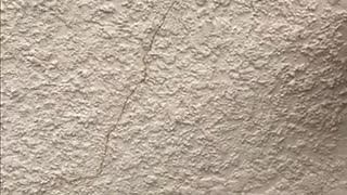 Stucco Wall Crack Repair