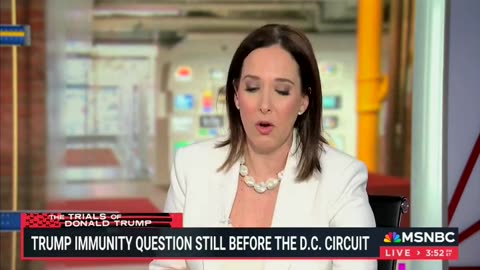 MSNBC Legal Analyst 'Increasingly Panicked' Trump Will Get Off As His Immunity Appeal Drags On