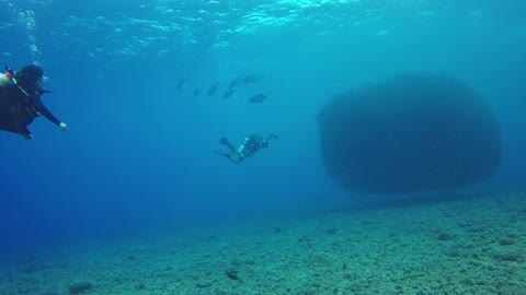 Scuba Divers Exploring Underwater