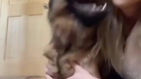 DOG IS SINGING DOG TRAINING