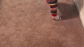 Best toddler dancer