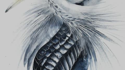 Watercolor Paintings Of Birds From All Over The World