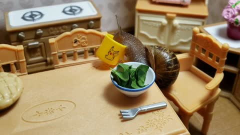 Tiny snail eats breakfast in tiny kitchen