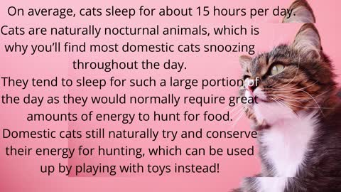 Facts About Cats That You Should Read Prt.5.