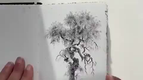 Leonardo Da Vinci's 500 year old rule for drawing trees tested