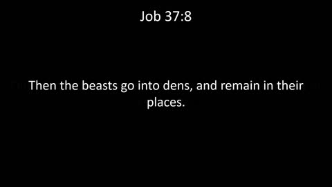 KJV Bible Job Chapter 37