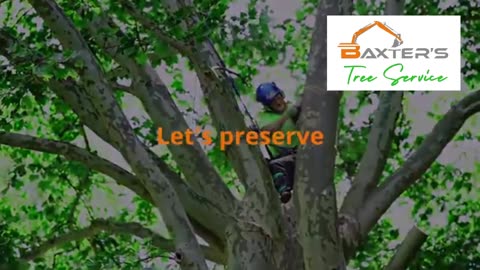 Baxter's Tree Service - Professional Tree Care