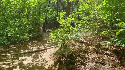 Trail running in the mountains