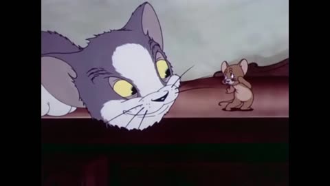 Tom And Jerry