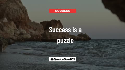 Success is a puzzle