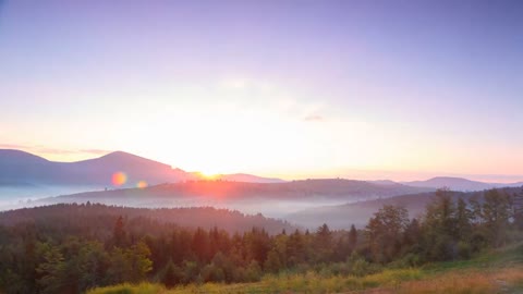 Mount Rainier National Park - Nature Relax Video, Summer Scenery