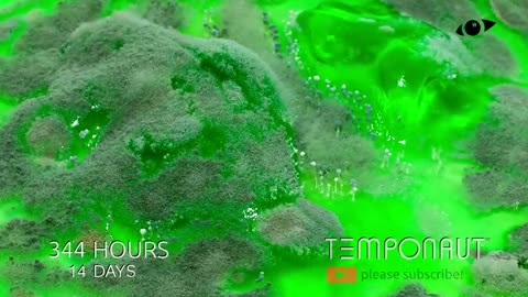 TEMPONAUT Top 10 Timelapses 2021