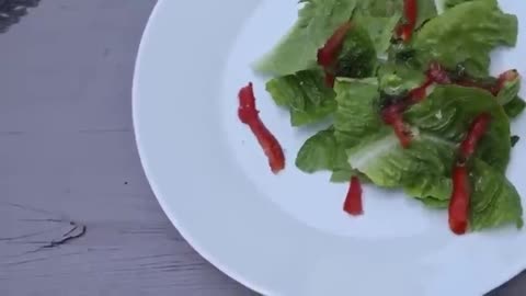 FREAKY ALERT: GMO TOMATO SWIMS AND MOVES AS IF ALIVE IN THIS MANS SALAD 🥗😳