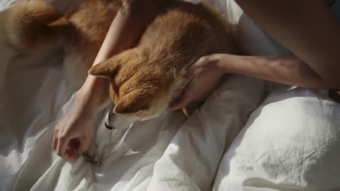 a woman teasing her dog with a dog food while in bed