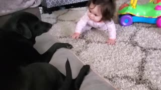 Baby looking for dog kisses