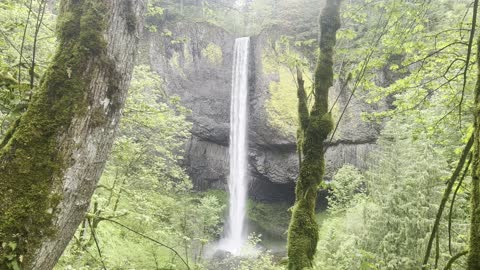 Lower Latourell Falls – Columbia River Gorge National Scenic Area – Oregon – 4K